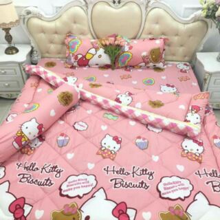 Set Chăn ga gối phao  poly ( người nhện,  khủng long,  doreamon...)