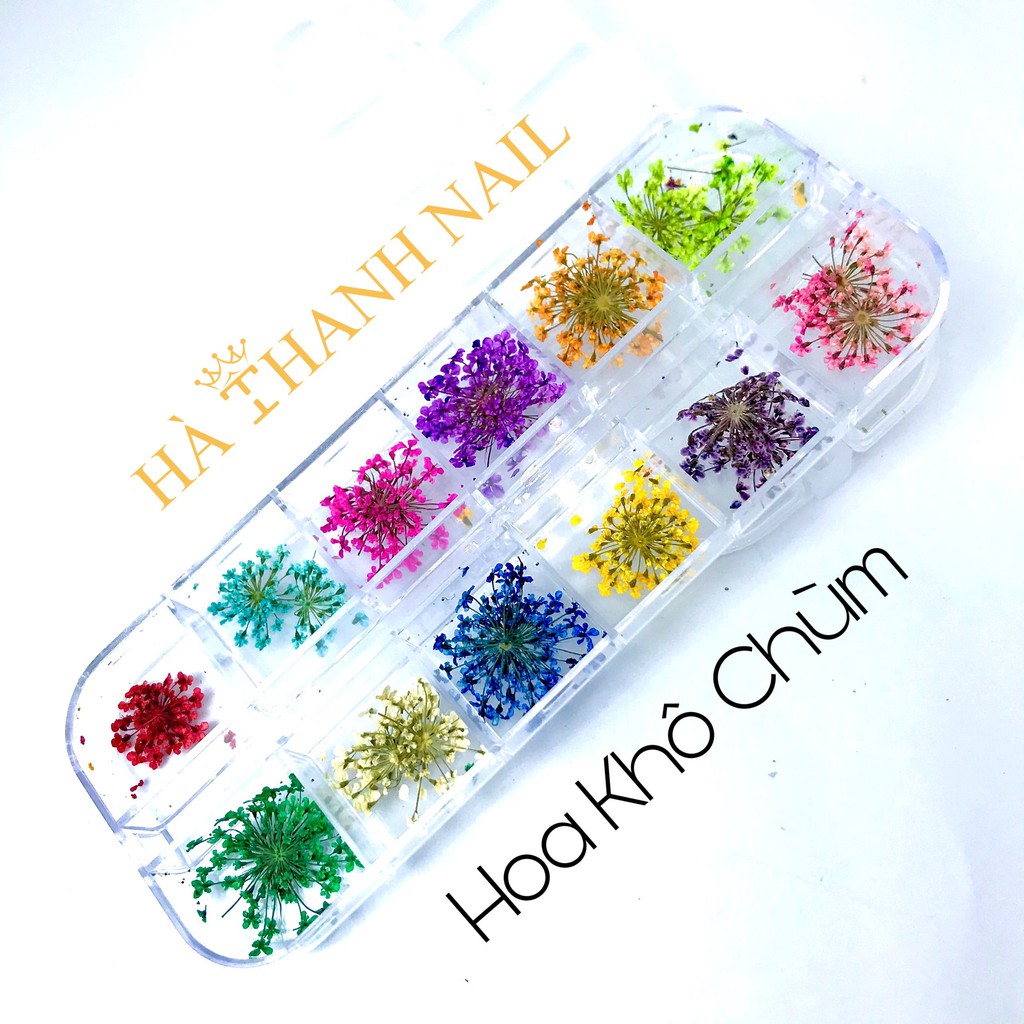 Hoa Chùm Khô Ẩn Gel , Bột