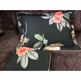 Vỏ gối cotton lót bông