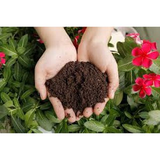 Phân Trùn Quế Sfarm Pb01 ( túi 2kg )