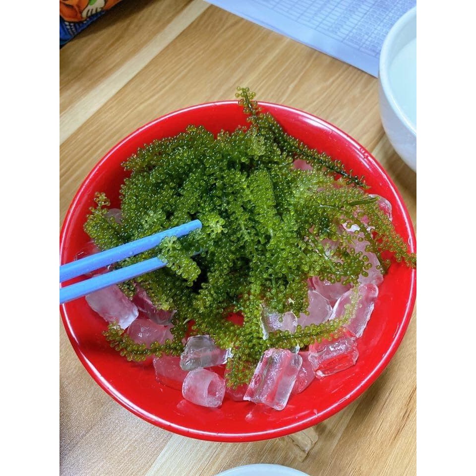 Rong nho Sabudo - 1 gói dùng thử 20g - có tặng kèm 1 gói nước sốt mè rang 15ml | BigBuy360 - bigbuy360.vn