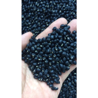 100gram đỗ đen sống xanh lòng quê hạt siêu nhỏ