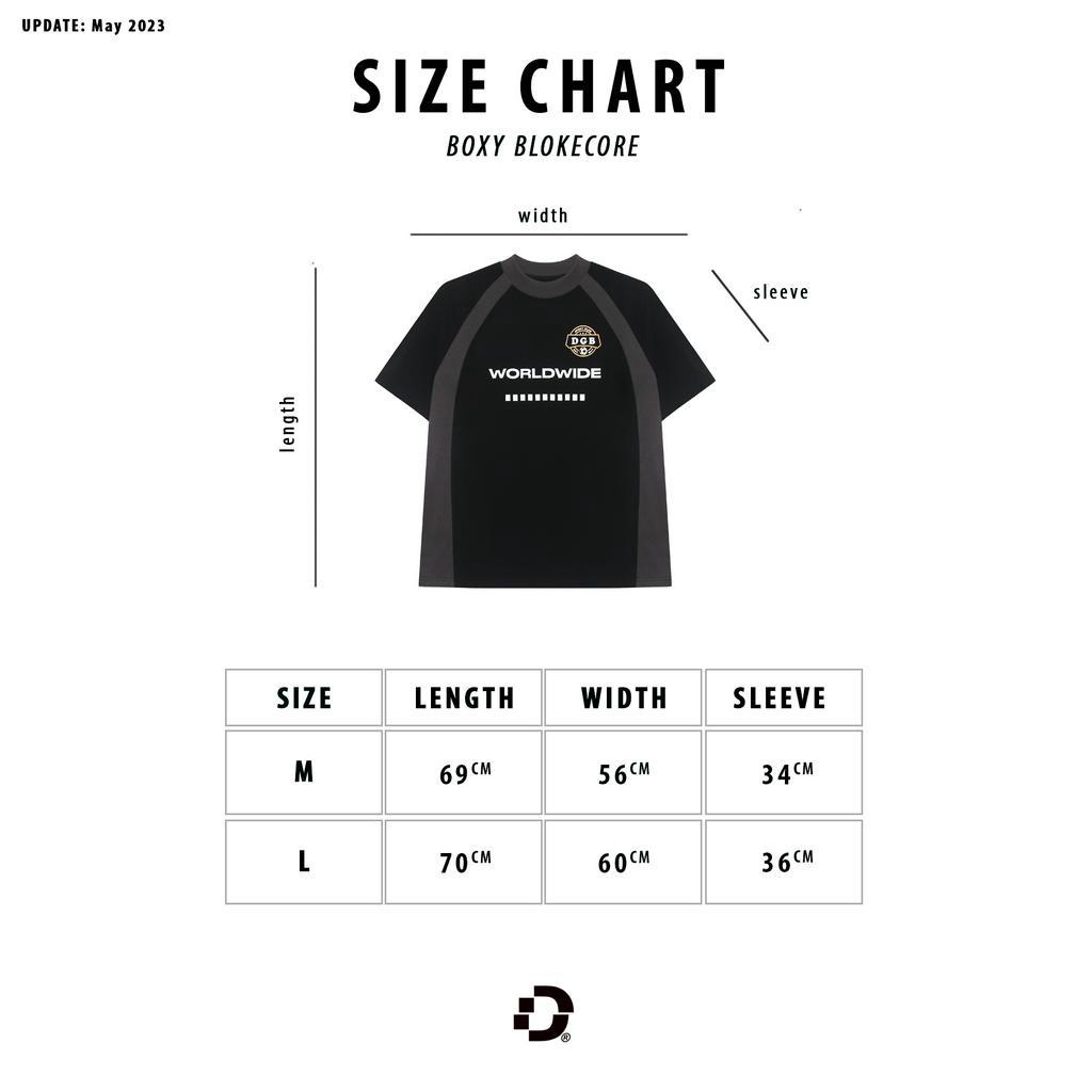 Áo Thun BOXY TEE Blokecore style Dragonbyboi 100% cotton