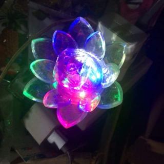 Đèn ngủ hình bông sen