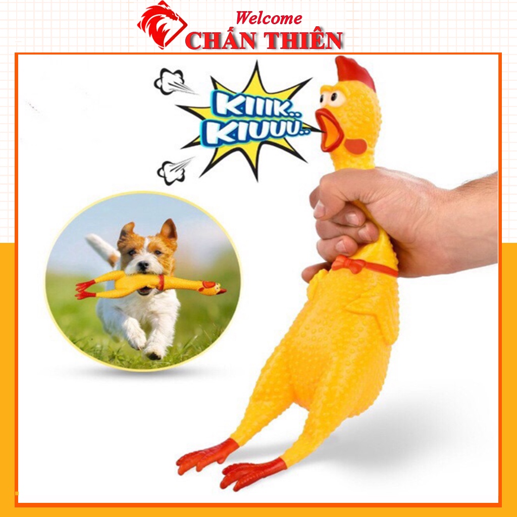 Gà la hét Gà bóp kêu Shrilling chicken đồ chơi thú cưng