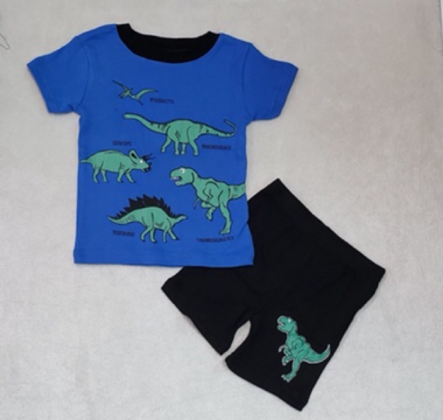 Bộ Thun Borip cotton Bé Trai 9kg -24kg vnxk