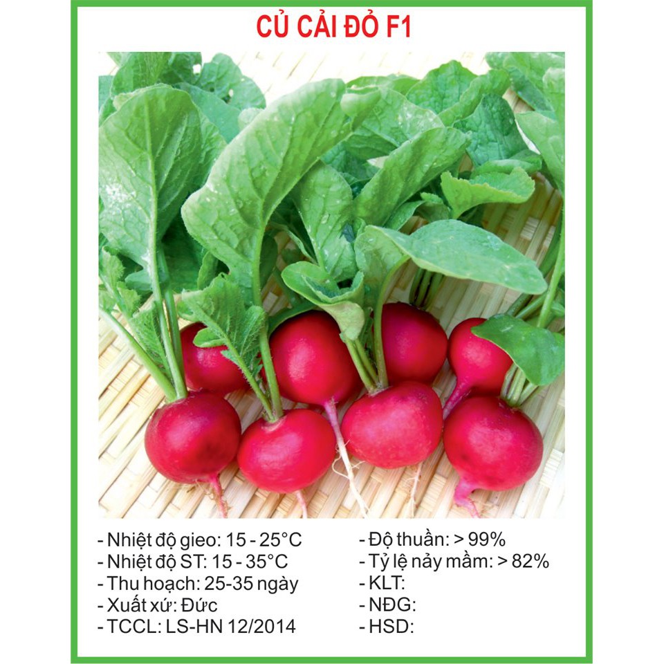 [Rẻ Vô Địch] Hạt Giống Củ cải đỏ F1 (golden seed)