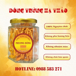 Đông trùng hạ thảo phương đông sấy thăng hoa 10g