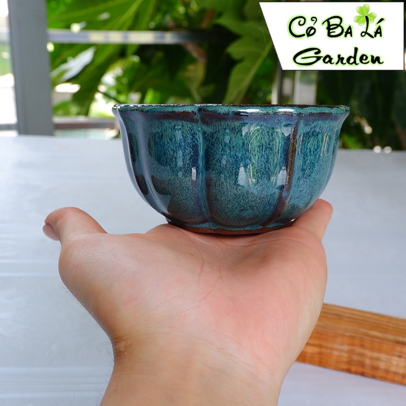 Chậu sứ trồng cây-hình hoa sen 11x5 -men hỏa biến