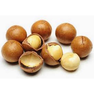 Hạt Macca Daklak sấy nứt SZ đại