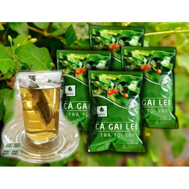 200 túi lọc - 4 bịch x 250g trà cà gai leo Sadu hỗ trợ các vấn đề về gan