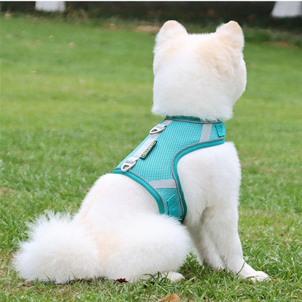 WATTLE Áo Vest Kèm Dây Dắt Thú Cưng Phản Quang Tiện Dụng