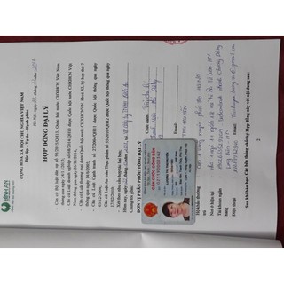 kẹo diệp lục trái cây bình an