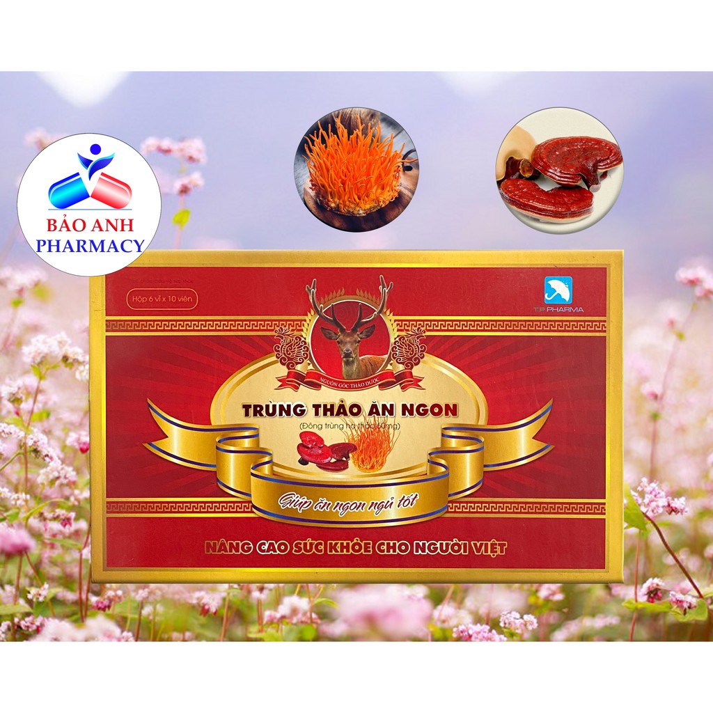 Viên Trùng Thảo Ăn Ngon - Ăn ngon, ngủ ngon - Hộp 60 viên