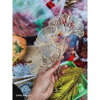 Hoa trạng Nguyên