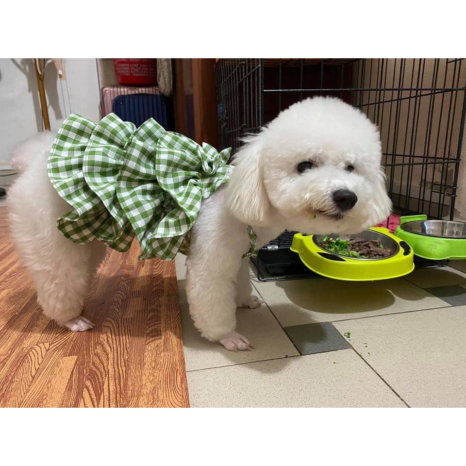 Đầm dây caro 4 tâng cho chó mèo thú cưng yudog