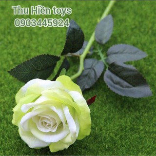 Hoa Hồng Nhung  Hoa Lụa Cao Cấp (51cm)