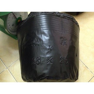túi nilon trồng cây 28x25 combo 10 túi