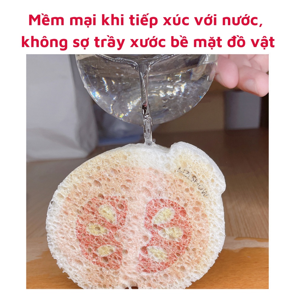 Miếng rửa chén bọt biển hoạt hình đa năng cao cấp dành cho gia đình