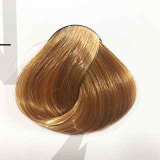 THUỐC NHUỘM MÀU NÂU VÀNG VENUS-VIL-XPROS-REWELL