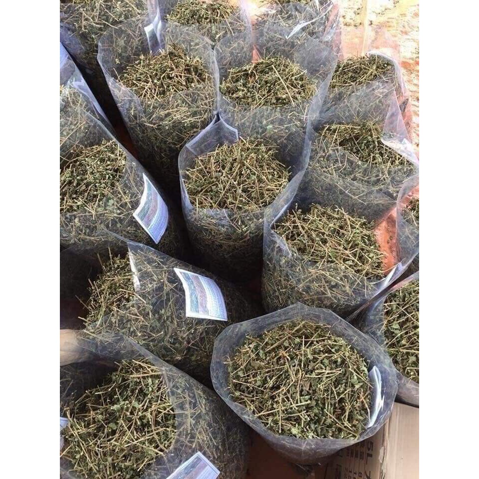 sỉ 2kg cà gai leo lọc gan | BigBuy360 - bigbuy360.vn