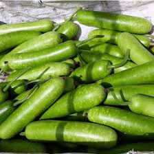 (Gói 15 hạt)Hạt giống bầu siêu trái f1 Dễ trồng năng suất cao kháng bệnh tốt-Tổng kho hạt giống giá rẻ