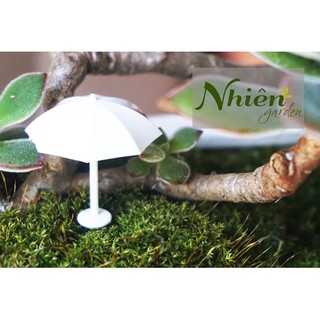 DÙ TRẮNG - Phụ kiện trang trí tiểu cảnh, Terrarium