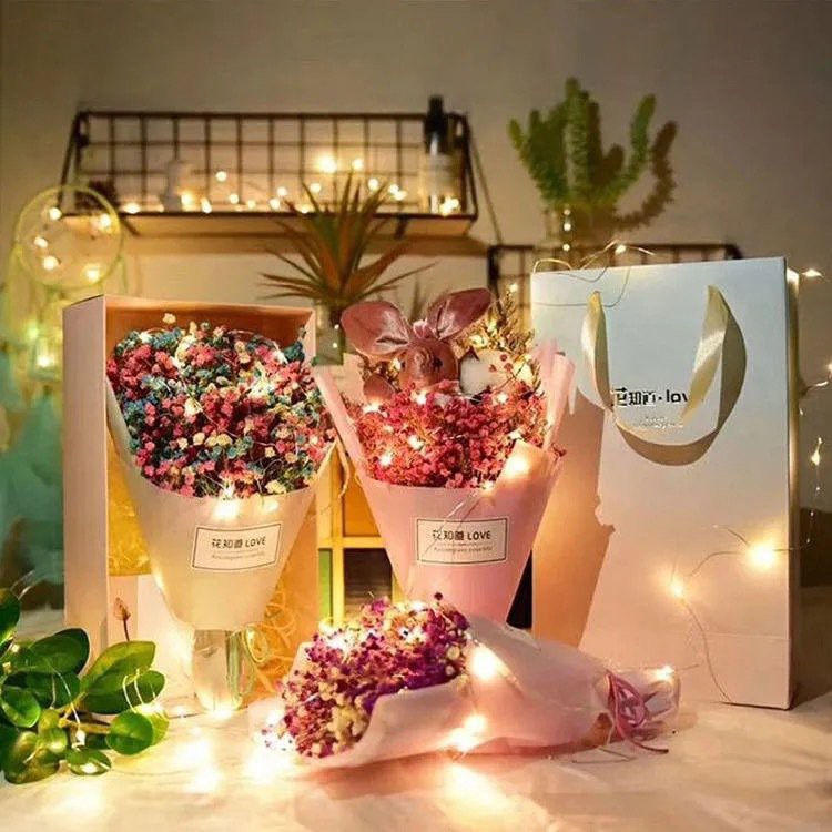 Đèn trang trí, dây đèn LED Nháy tranng trí 3M, 3 chế độ sáng, có sẵn pin