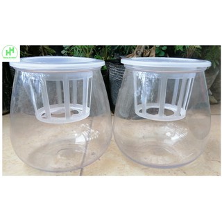 ComBo 2 Chậu Nhựa Trồng Cây Thủy Sinh, Kích Thước 10x10x13Cm