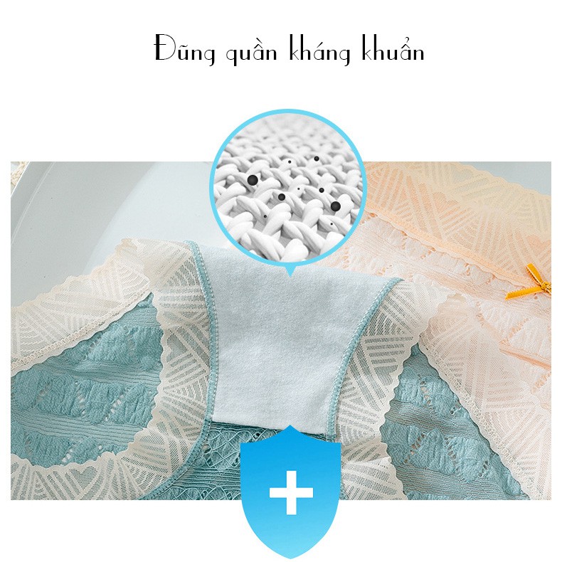 Quần lót nữ ren mềm kháng khuẩn thoáng khí chống hằn có size to P069