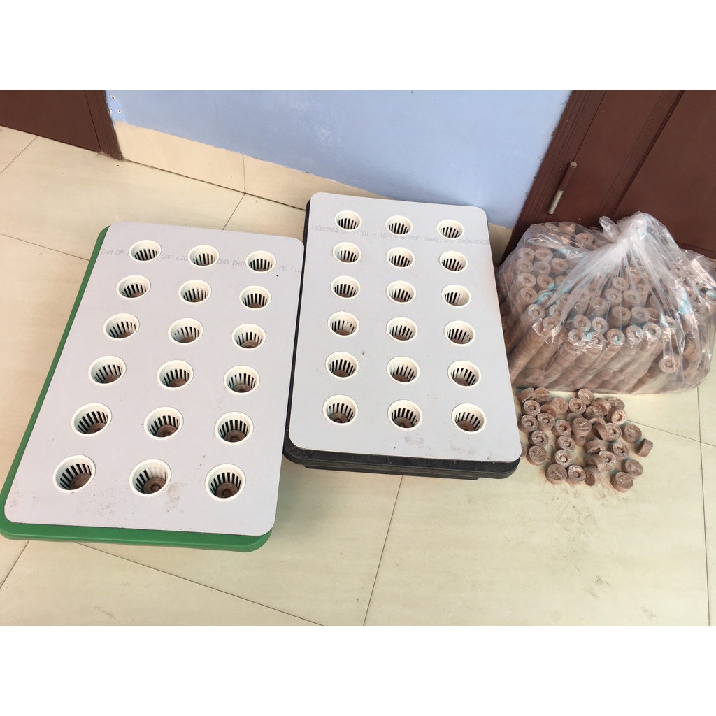 Combo 10 thùng thuỷ canh tĩnh, chậu thủy canh trồng rau, rau thủy canh