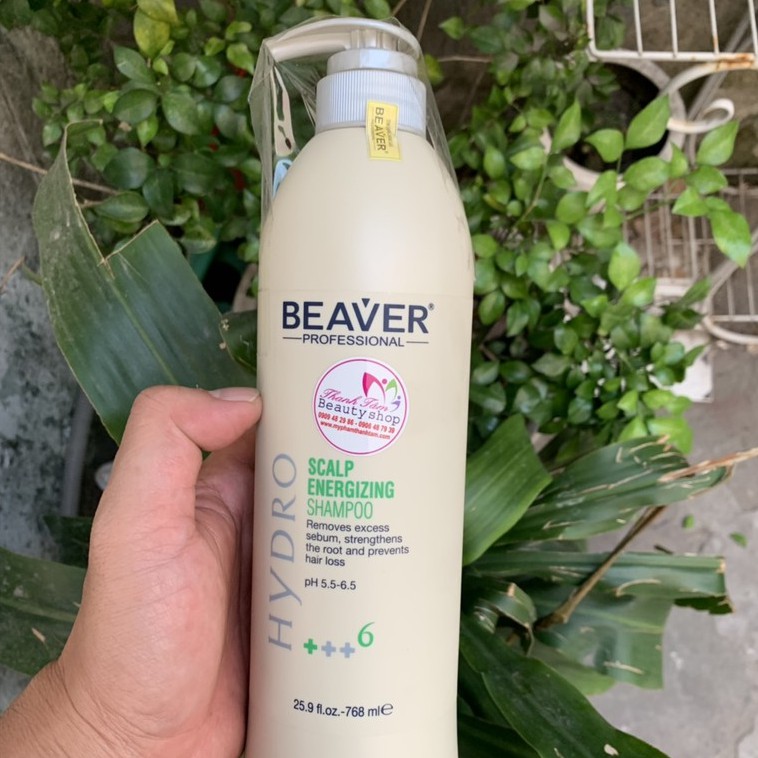 Dầu gội chống rụng và kích thích mọc tóc Beaver Scalp Energizing Shampoo +++6 768ml