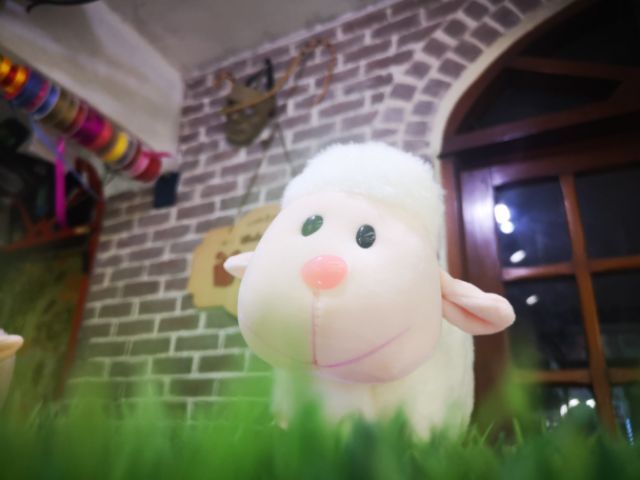 Cừu bông xinh xắn