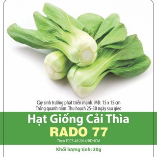 Hạt giống Rạng Đông Cải Thìa(1 gói/20g)