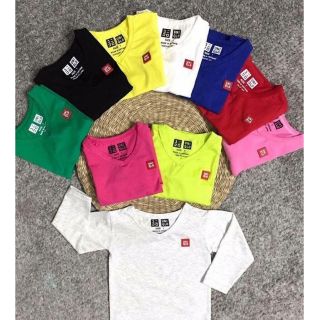 Combo 5 áo cổ tim dài tay