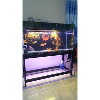 Tranh dán bể cá 3D - HỔ - KT 120x50 cm