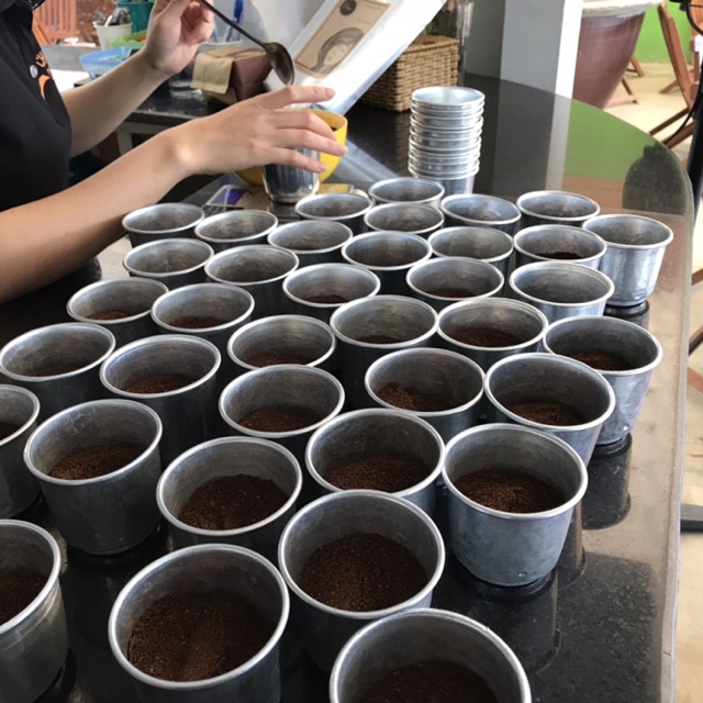 5kg Cà Phê BỘT Nguyên Chất Rang Mộc Chậm Coffee – Yêu Thương 1kg | BigBuy360 - bigbuy360.vn