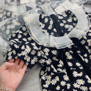 Váy cổ ren tiêu thư