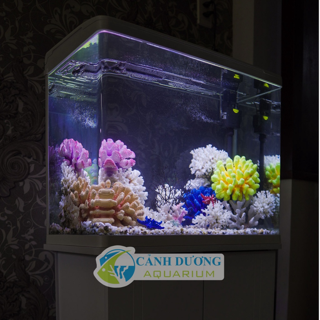 Hồ Cá Mini Để Bàn XS-620