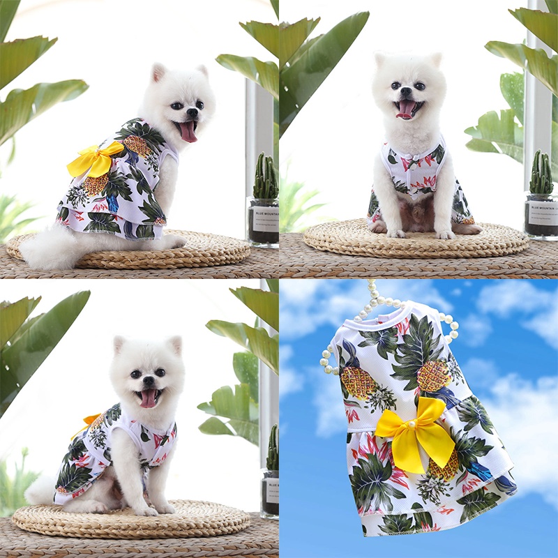 Váy Đi Biển Họa Tiết Quả Dứa Hawaii Cho Thú Cưng 4 Mùa