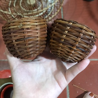 GIỎ THÓC cho chim cu gáy