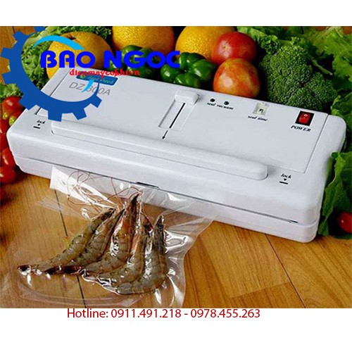 Máy hút chân không gia đình DZ - 300A