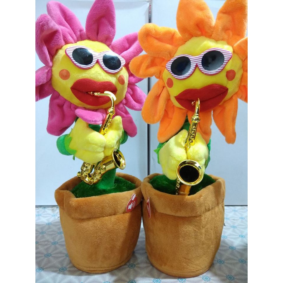 Hoa uốn éo - Hướng dương uốn éo thường - 60 bài nhạc
