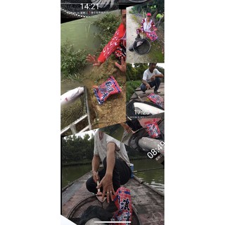 ComBo Săn Trắm Đen Câu Đài Cuồng Lang