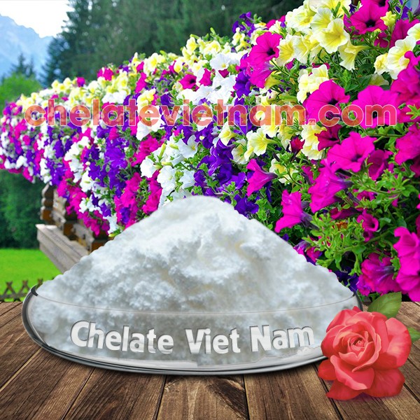 Uniconazole 5WP  gói 100g