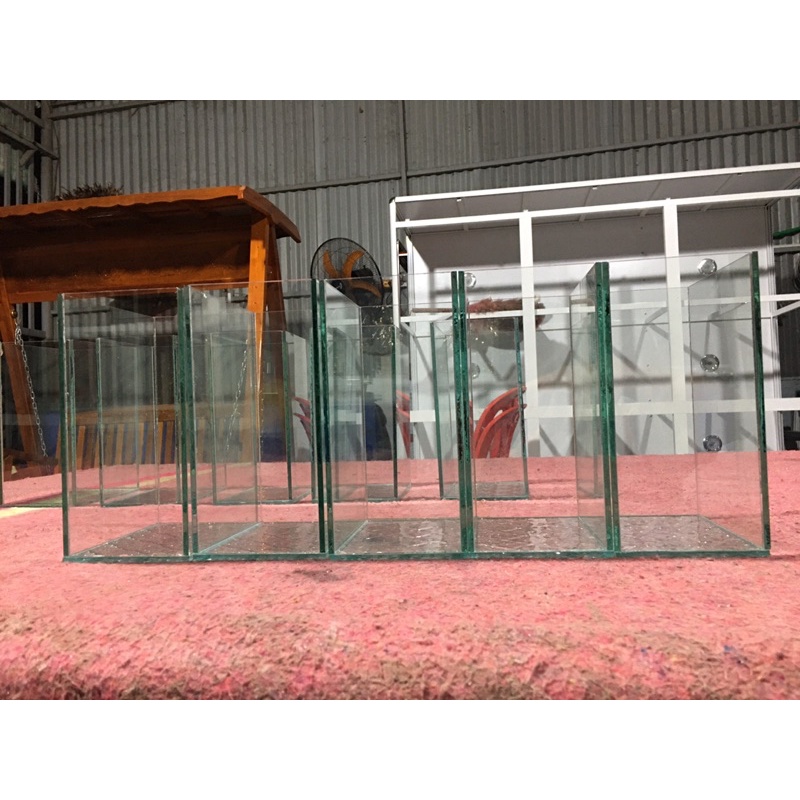 Hồ cá betta,lia thia,guppy,