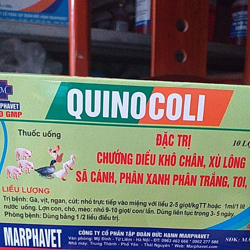 Diều đầy hơi phân xanh trắng toi rù quinocoli cho thú y lợn gà vịt chim chó mèo gà đá, pet
