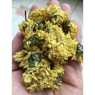 100g trà hoa cúc vàng