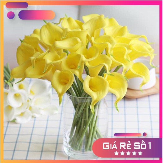Hoa Giả - Hoa Rum Calla Lily Nam Phi