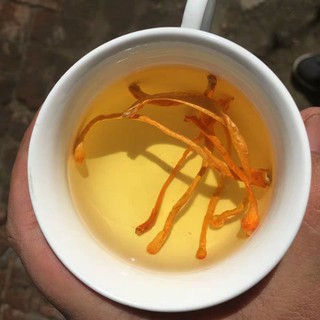 100g Đông trùng hạ thảo khô